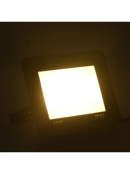 LED-PROŽEKTOR 2 TK, 50 W, SOE VALGE
