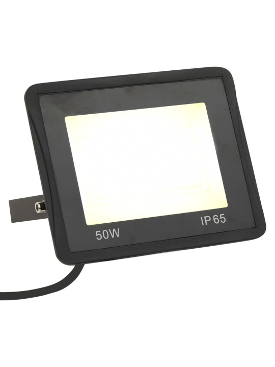 LED-PROŽEKTOR 2 TK, 50 W, SOE VALGE