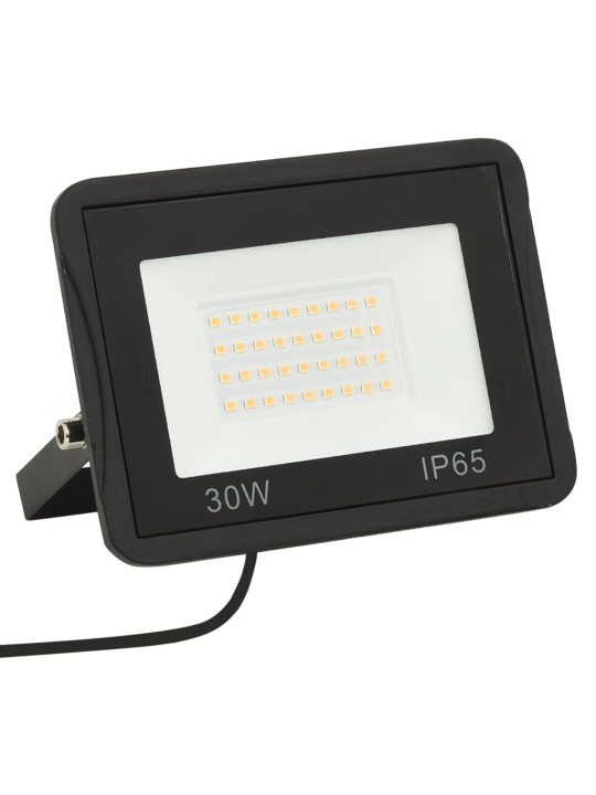 LED prožektor 2 tk, 30 w, külm valge