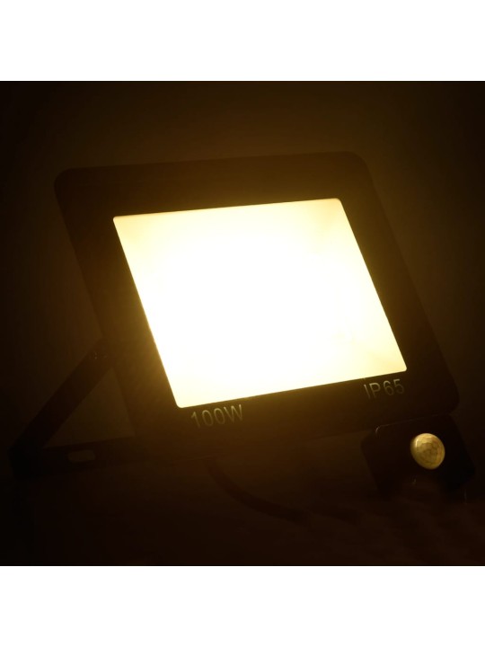 ANDURIGA LED PROŽEKTOR, 100 W, SOE VALGE