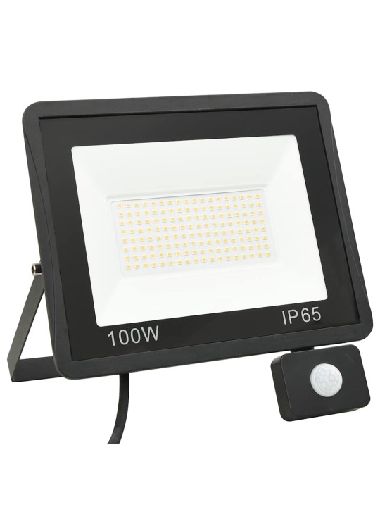 ANDURIGA LED PROŽEKTOR, 100 W, SOE VALGE