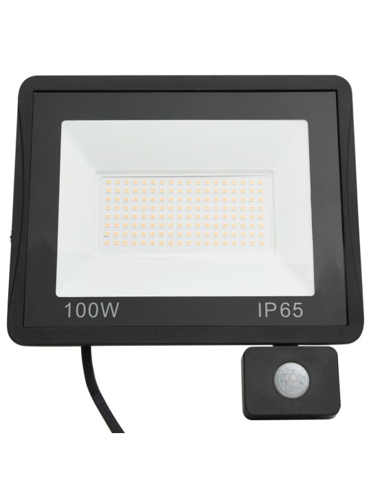 ANDURIGA LED PROŽEKTOR, 100 W, SOE VALGE