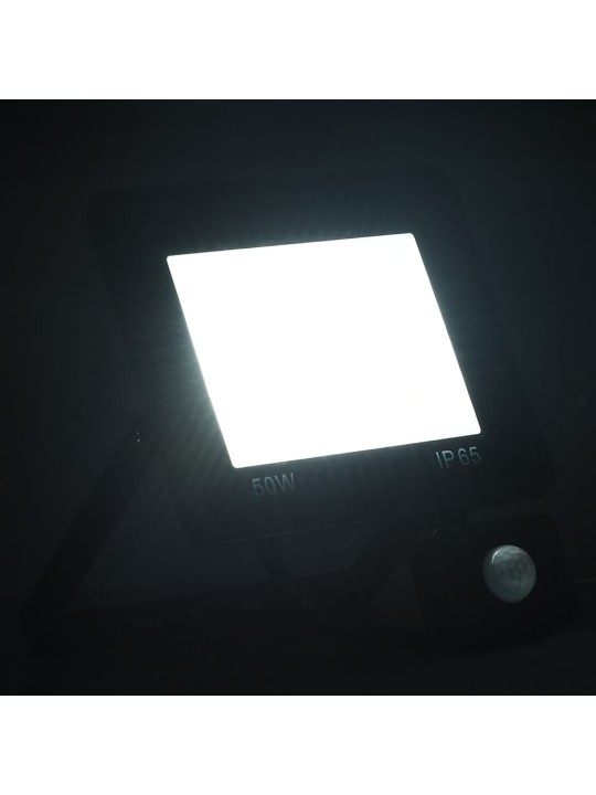 ANDURIGA LED PROŽEKTOR, 50 W, KÜLM VALGE
