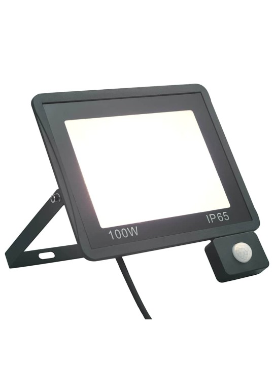 ANDURIGA LED-PROŽEKTOR 100 W, KÜLM VALGE
