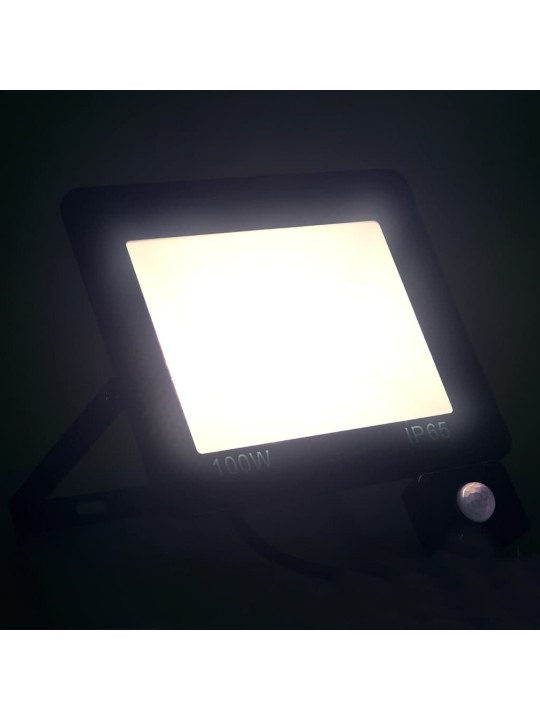 ANDURIGA LED-PROŽEKTOR 100 W, KÜLM VALGE