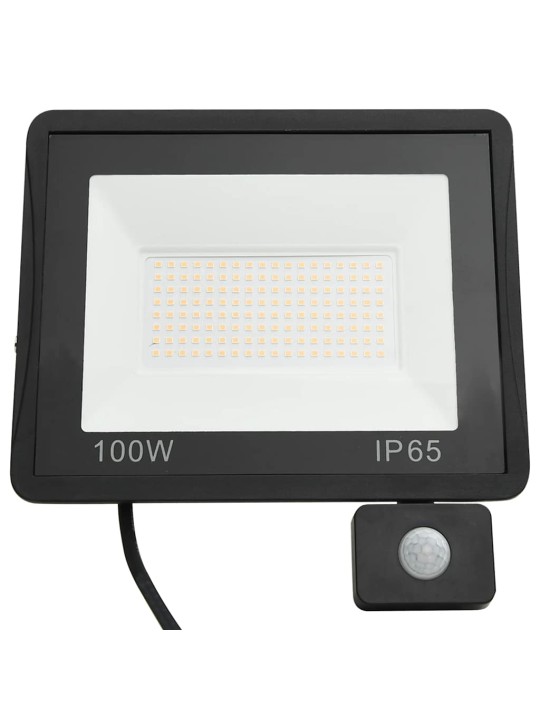 ANDURIGA LED-PROŽEKTOR 100 W, KÜLM VALGE