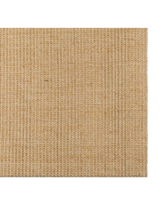 Vaip naturaalne sisal 66x100 cm