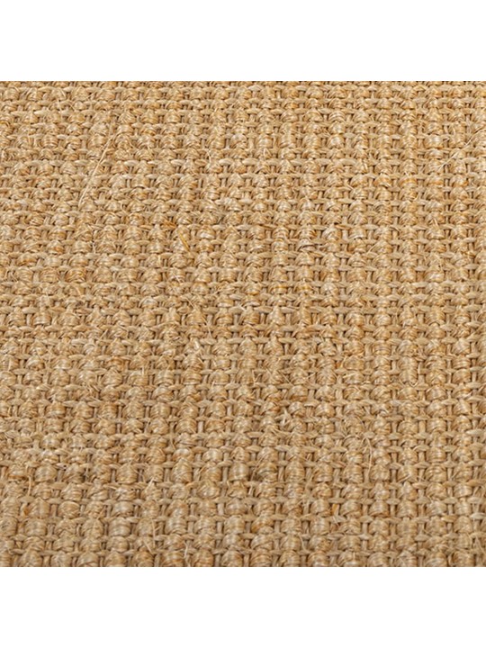 Vaip naturaalne sisal 66x100 cm