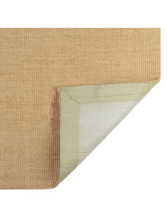 Vaip naturaalne sisal 66x100 cm