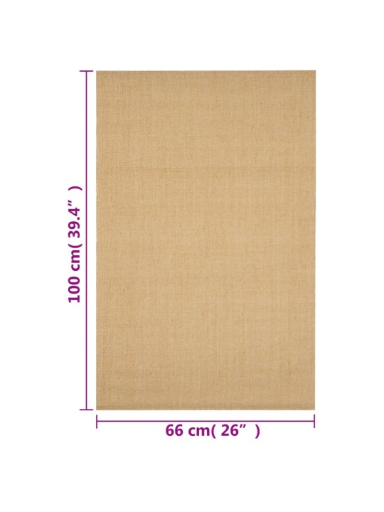 Vaip naturaalne sisal 66x100 cm