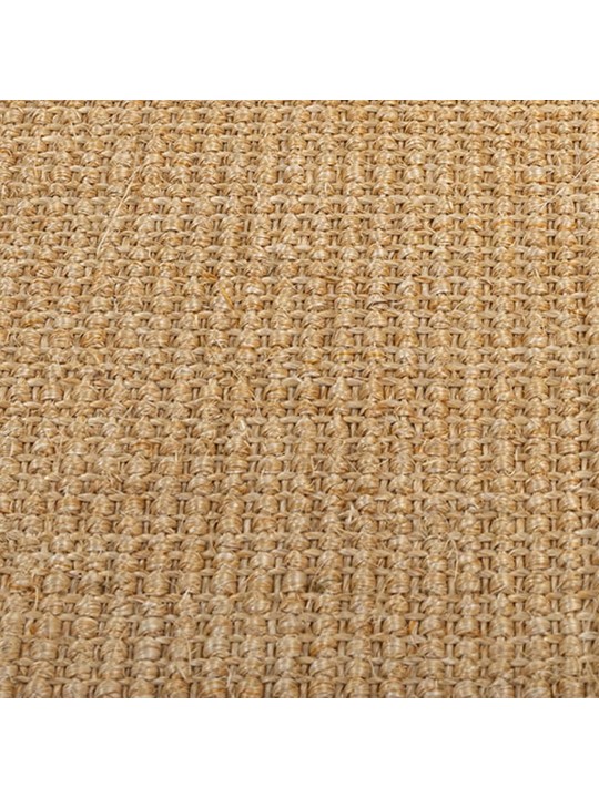 Vaip naturaalne sisal 66x150 cm