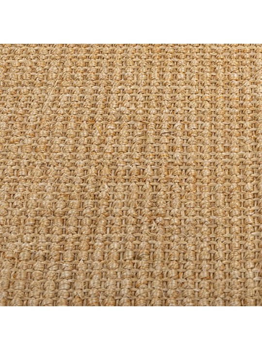 Vaip, naturaalne sisal, 80 x 150 cm