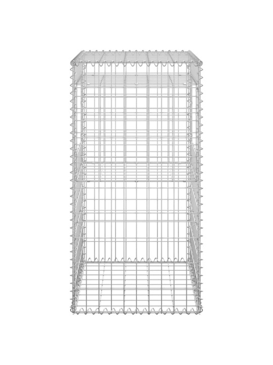 Gabioonkorvid 2 tk, 50 x 50 x 100 cm, raud