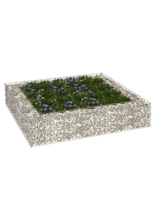 GABIOON-TAIMELAVA, TSINGITUD TERAS, 100 X 100 X 20 CM