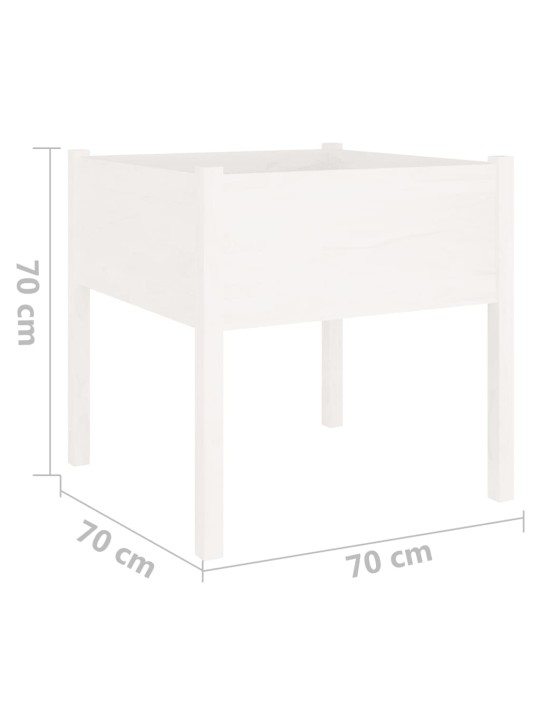 Aia taimekast, 2 tk, valge 70x70x70 cm, toekas männipuit