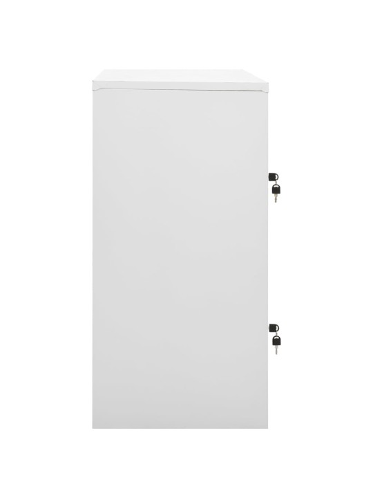 Lukustatavad hoiukapid 2 tk, helehall, 90x45x92.5 cm, teras