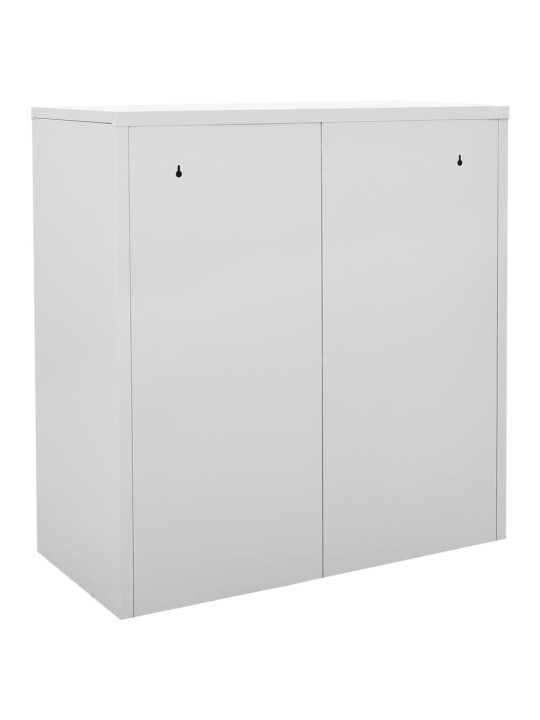 Lukustatavad hoiukapid 2 tk, helehall, 90x45x92.5 cm, teras