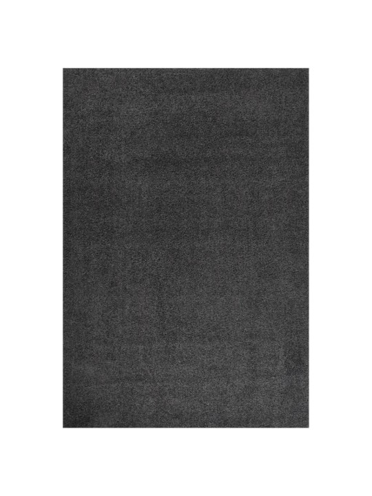 Kõrge narmaga shaggy vaip, antratsiit, 160x230 cm