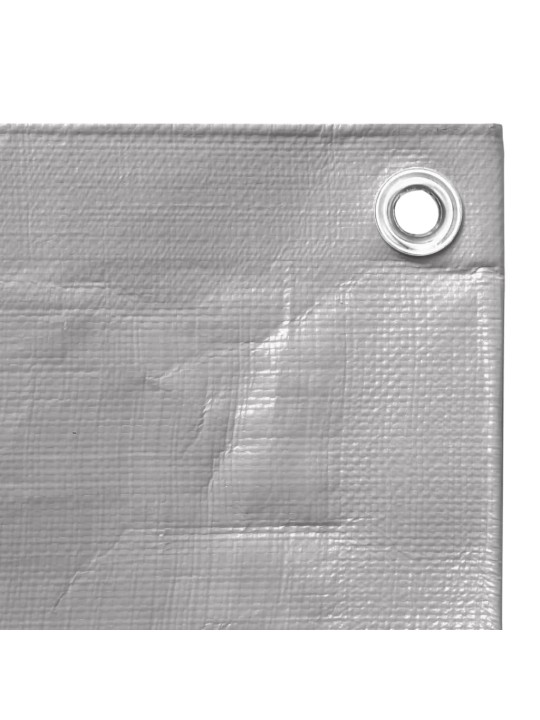 PRESENT, 260 G/M² 6X12 M, HALL, HDPE