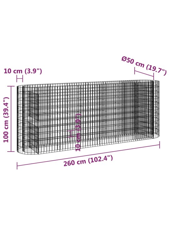 Gabioon taimelava, tsingitud raud, 260 x 50 x 100 cm