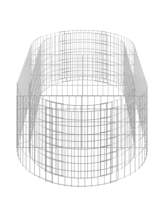 Gabioon taimelava, tsingitud raud, 200 x 100 x 50 cm