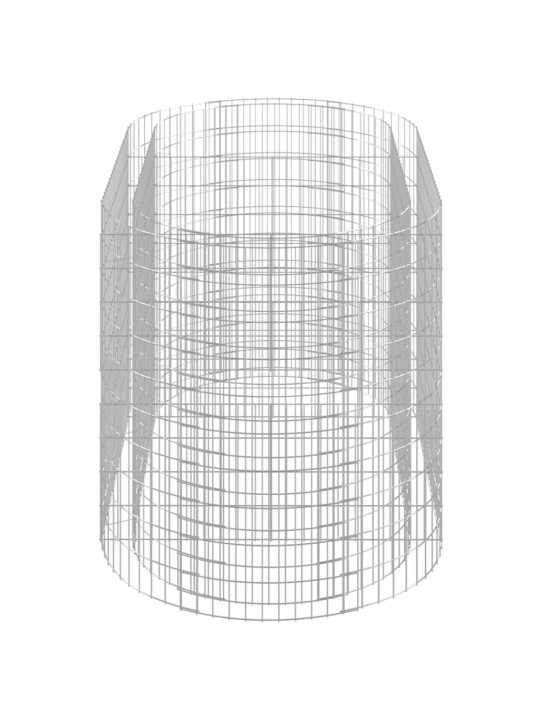 Gabioon taimelava, tsingitud raud, 200 x 100 x 100 cm