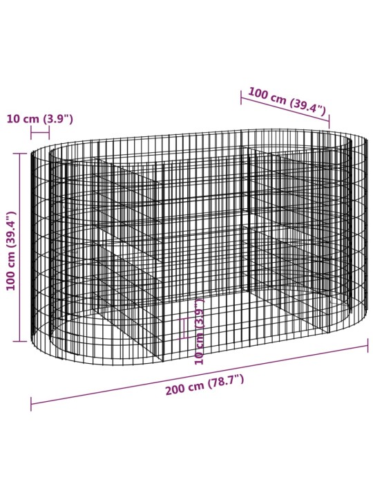 Gabioon taimelava, tsingitud raud, 200 x 100 x 100 cm