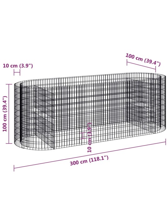 Gabioon taimelava, tsingitud raud, 300 x 100 x 100 cm