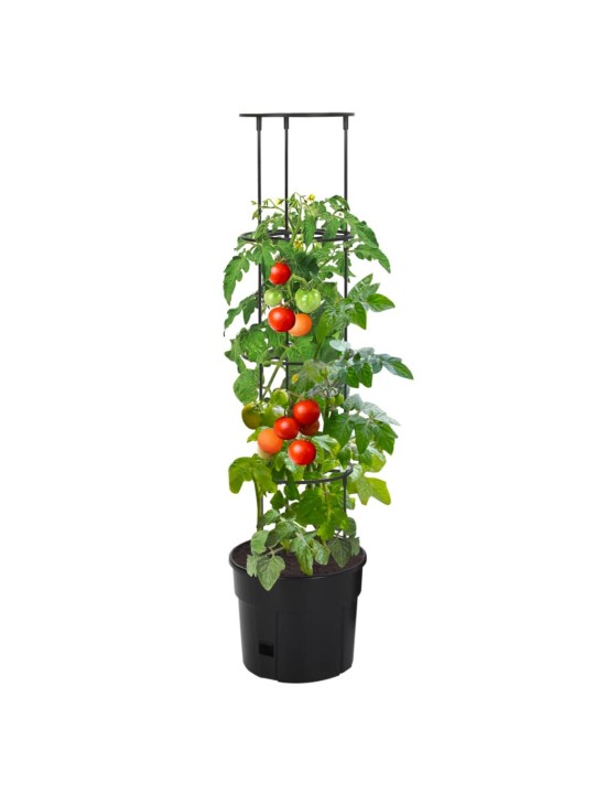 Tomatitaime kasvupott, antratsiithall, ø29,5 x 115 cm, pp