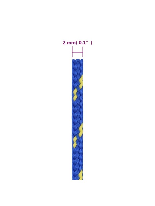 Paadiköis, sinine, 2 mm, 100 m, polüpropüleen