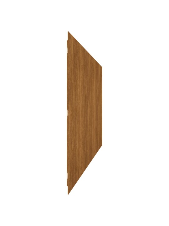 Murupiirded 10 tk, 25x103 cm, painduv corten teras