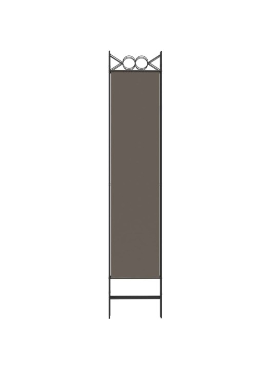 6 paneeliga ruumijagaja, antratsiithall, 240x200 cm, kangas