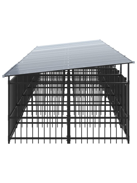 Koeraaedik katusega, teras, 13,14 m²