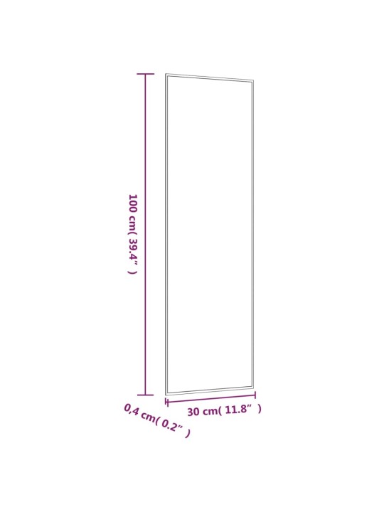 Seinapeegel, 30 x 100 cm, klaas, ristkülik