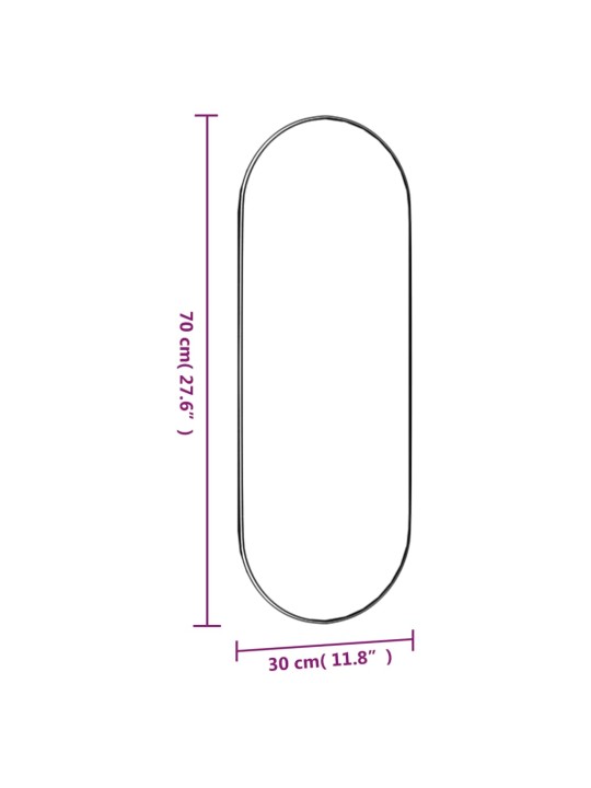 Seinapeegel, 30 x 70 cm, klaas, ovaalne
