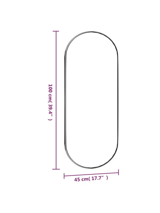 Seinapeegel, 45 x 100 cm, klaas, ovaalne