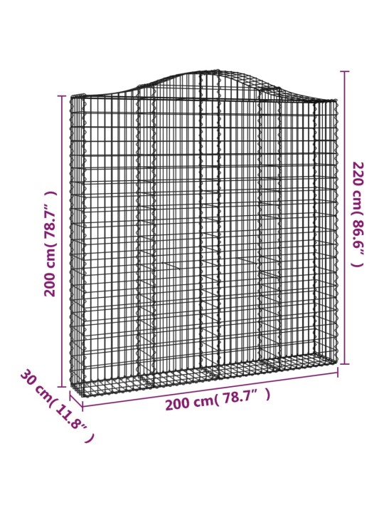 Kaarekujulised gabioonkorvid 2 tk, 200x30x200/220 cm, raud