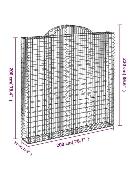 Kaarekujulised gabioonkorvid 2 tk, 200x30x200/220 cm, raud