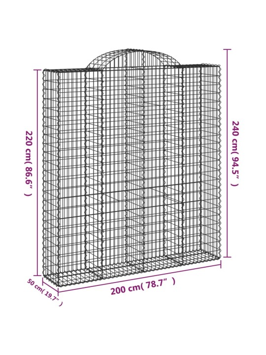 Kaarekujulised gabioonkorvid 2 tk, 200x50x220/240 cm, raud