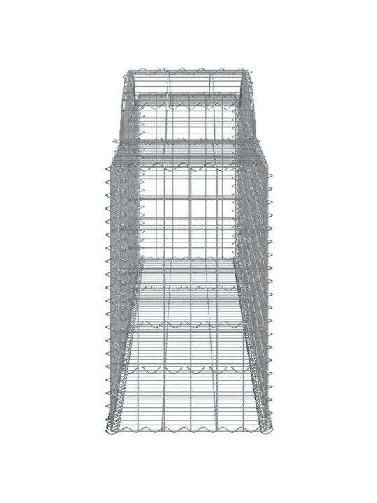 Kaarekujulised gabioonkorvid 20 tk, 300x50x80/100 cm, raud