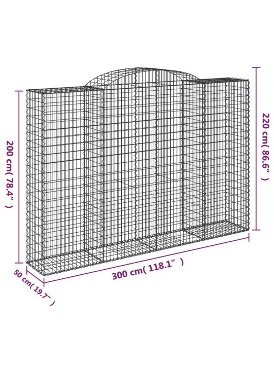 Kaarekujulised gabioonkorvid 2 tk, 300x50x200/220 cm, raud