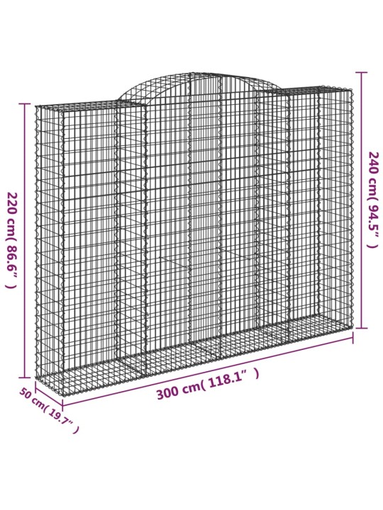 Kaarekujulised gabioonkorvid 2 tk, 300x50x220/240 cm, raud