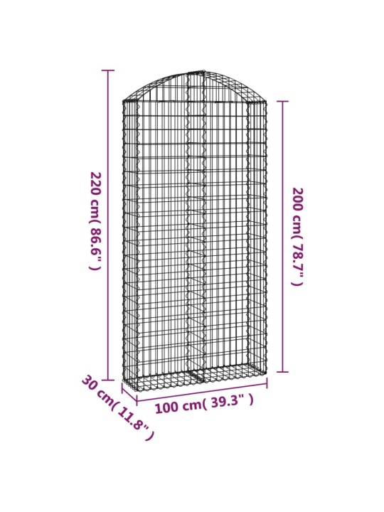 Kaarekujuline gabioonkorv, 100x30x200/220 cm, raud