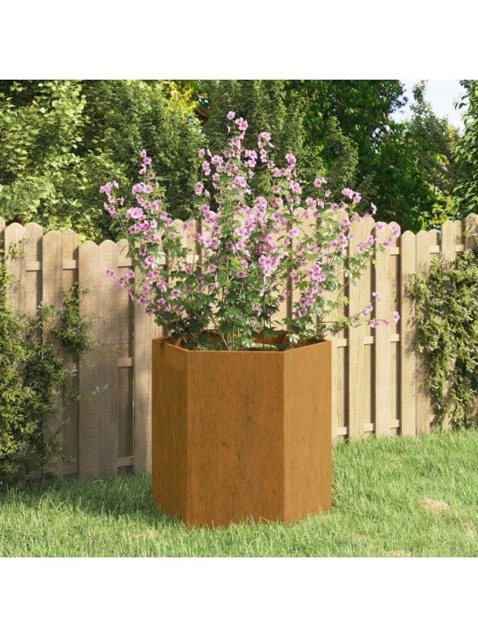 Taimekast, rooste, 40x40x45 cm, corten teras