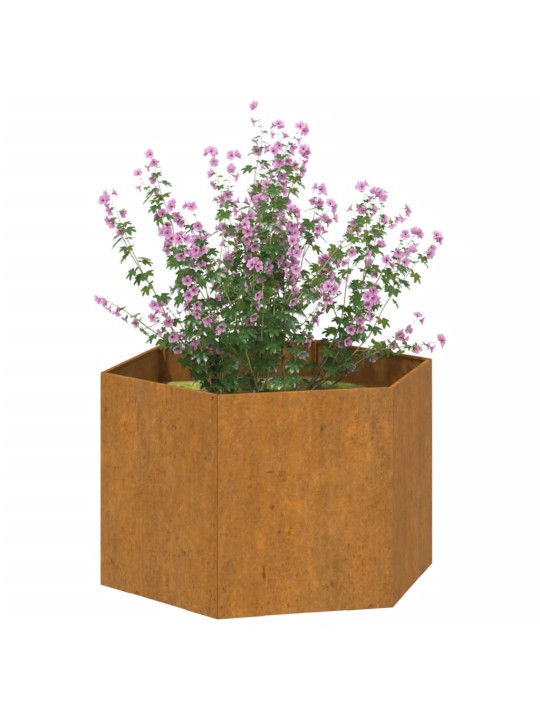 Taimekast, rooste, 60x60x45 cm, corten teras