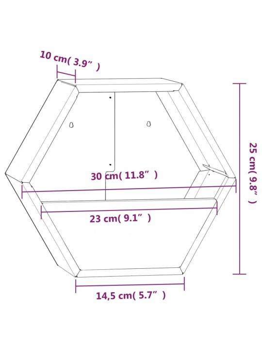 Seina taimekastid 2 tk, rooste, corten teras, 30x10x25 cm