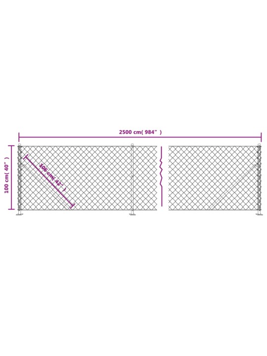 Võrkaed äärikuga, antratsiithall, 1 x 25 m