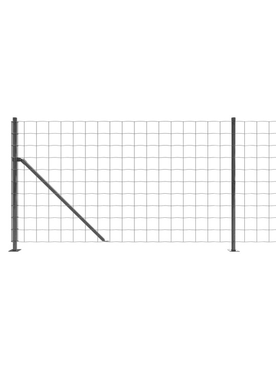 Traataed äärikuga, antratsiithall, 0,8x10 m