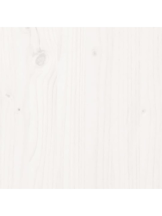 Lauaplaat, valge, 110 x 55 x 2,5 cm, männipuit, ristkülik