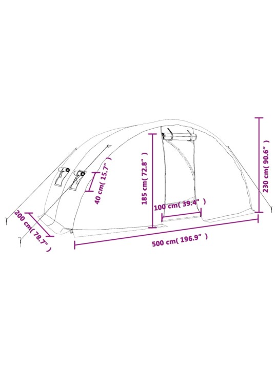 Kasvuhoone terasraamiga, valge, 10 m², 5x2x2,3 m